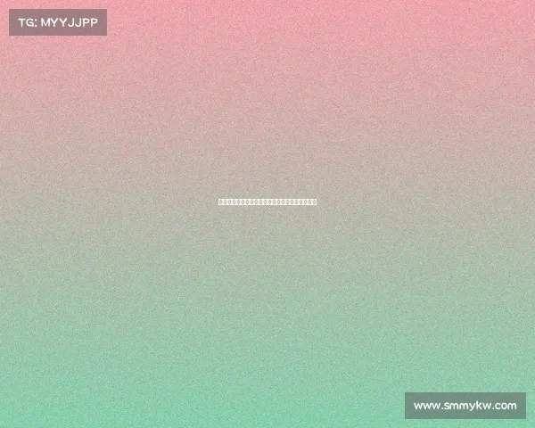 中国房车锦标赛合作赛事激情开启共创辉煌新篇章